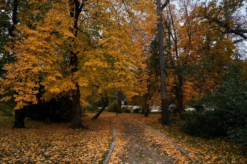 Stuck Between Seasons? Japan Has a Word for That Feeling — and It's Actually Beautiful